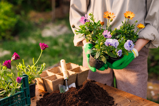 PRIMAVERA: I PRIMI APPROCCI AL GIARDINAGGIO
