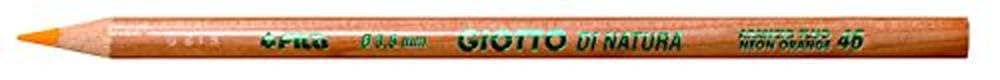 Giotto 240600 - Astuccio di Natura 12 Pastelli Colorati (25530647)