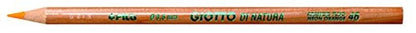 Giotto 240600 - Astuccio di Natura 12 Pastelli Colorati (25530647)
