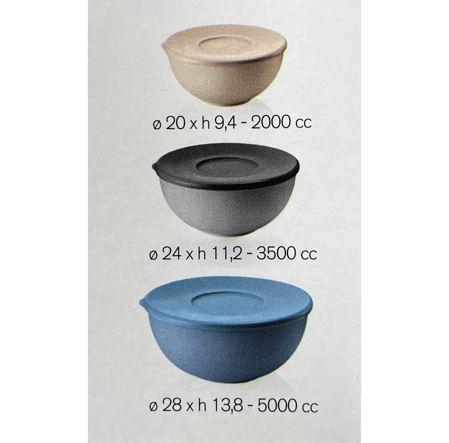 36691033
