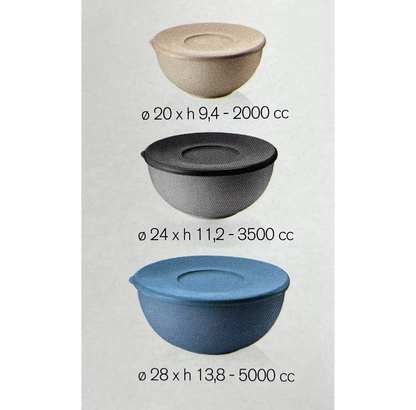 36691033
