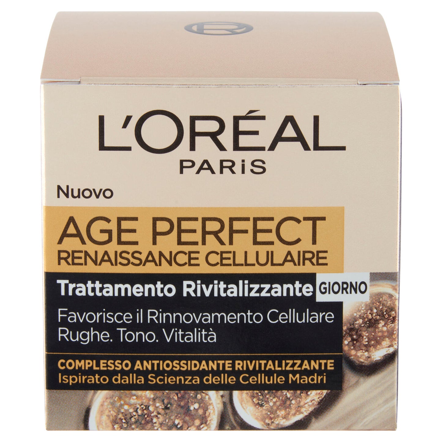 L'Oréal Paris Crema Viso Giorno Anti-rughe Age Perfect Reinassance Cellulaire, 50 ml (25531765)