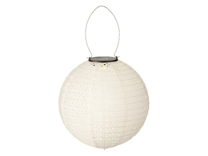 49544591