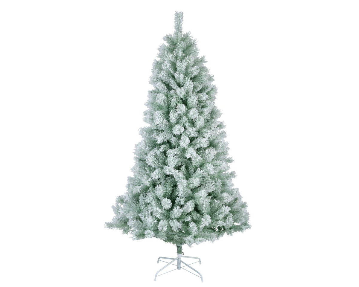 49544504